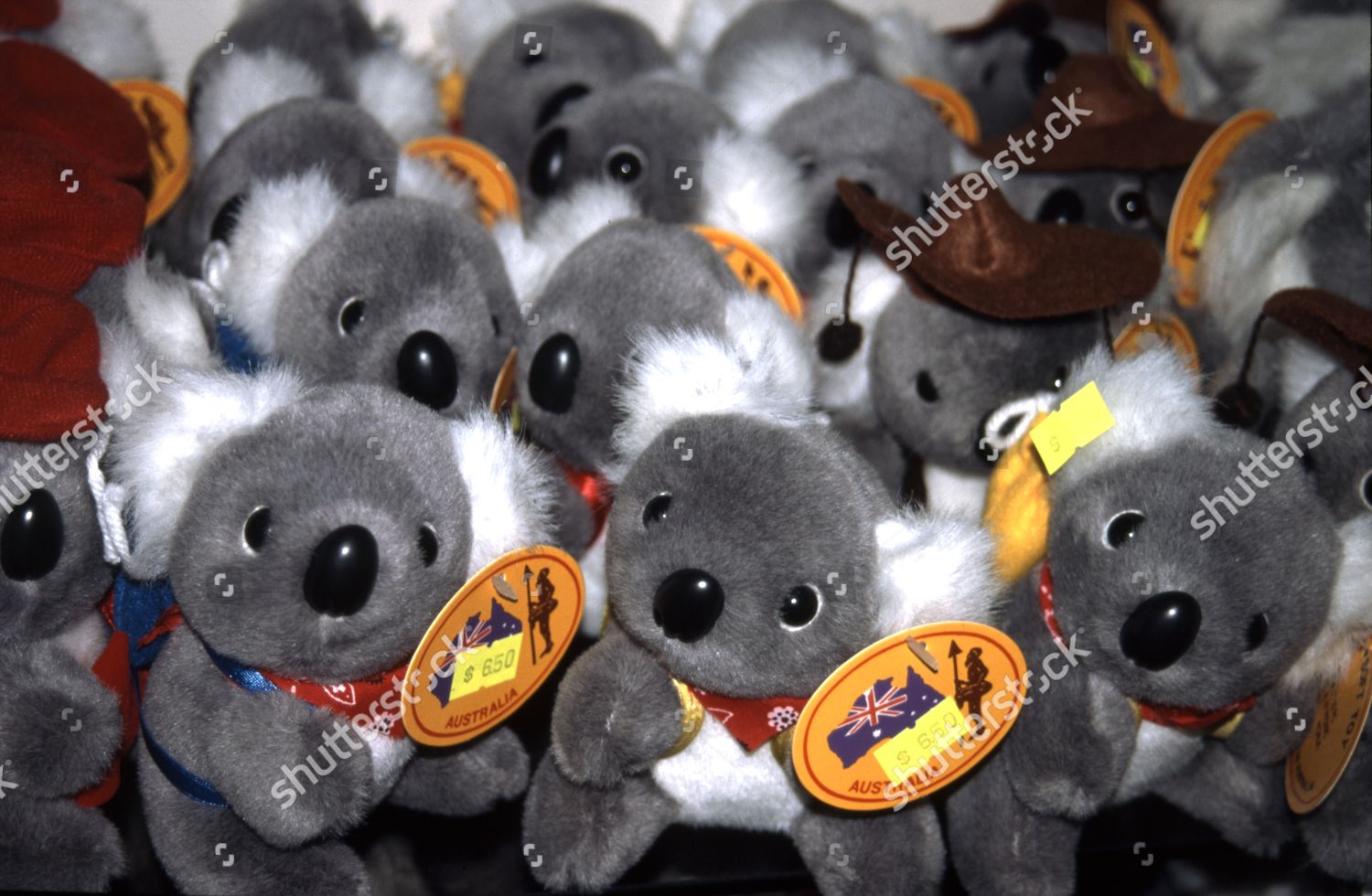 toy koala bears for sale