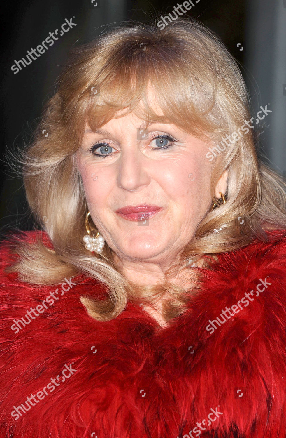 Liz Brewer Editorial Stock Photo Stock Image Shutterstock