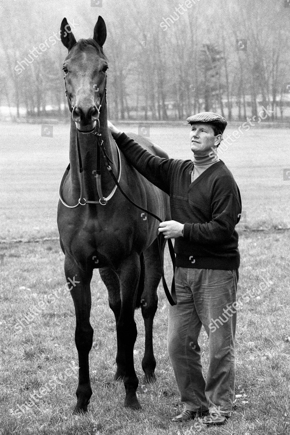 Vivid Ian Balding, Trainer Of Legendary Derby Winner Mill Reef, Dies Aged 87 Background Illustration Vivid Ian Balding, Trainer Of Legendary Derby Winner Mill Reef, Dies Aged 87 Background Illustration