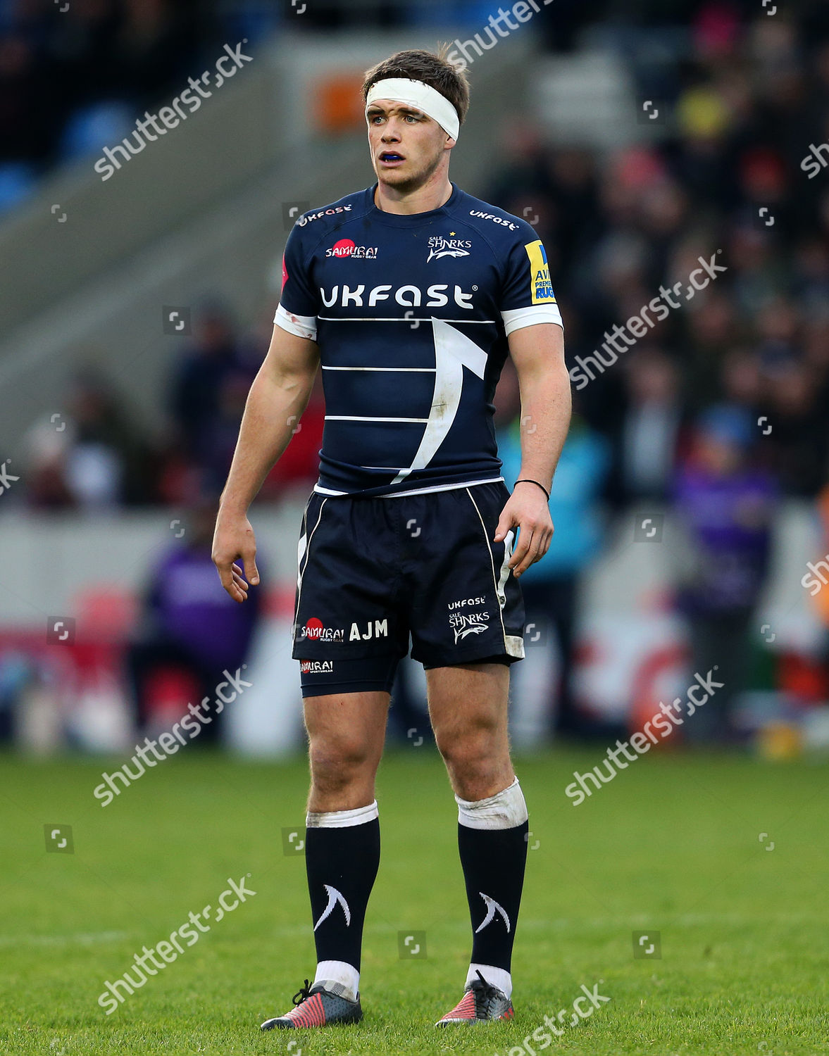 Aj Macginty Sale Sharks Editorial Stock Photo - Stock Image | Shutterstock