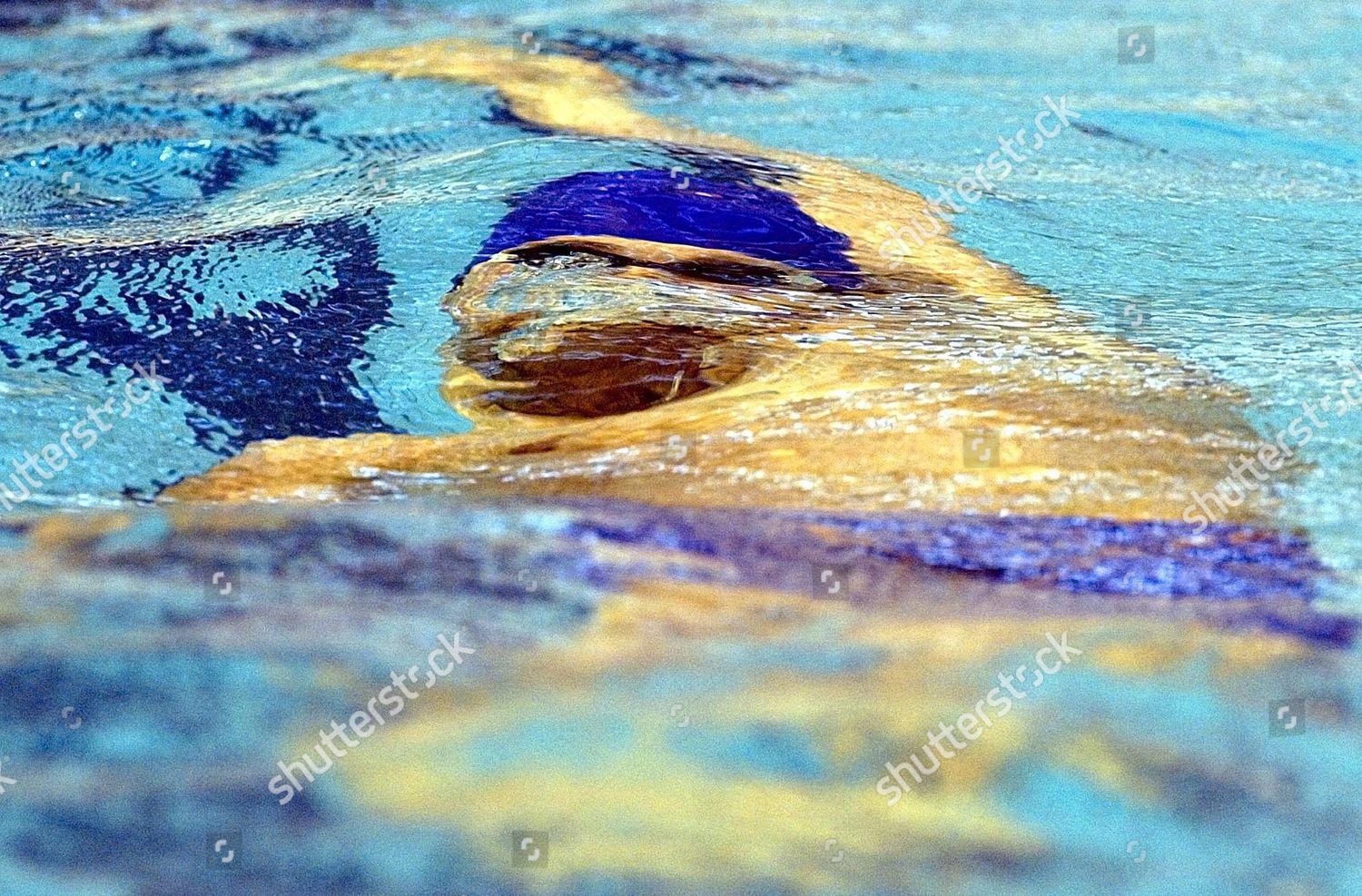 Dutch Erik Klaas Zwering Seen Through Editorial Stock Photo Stock