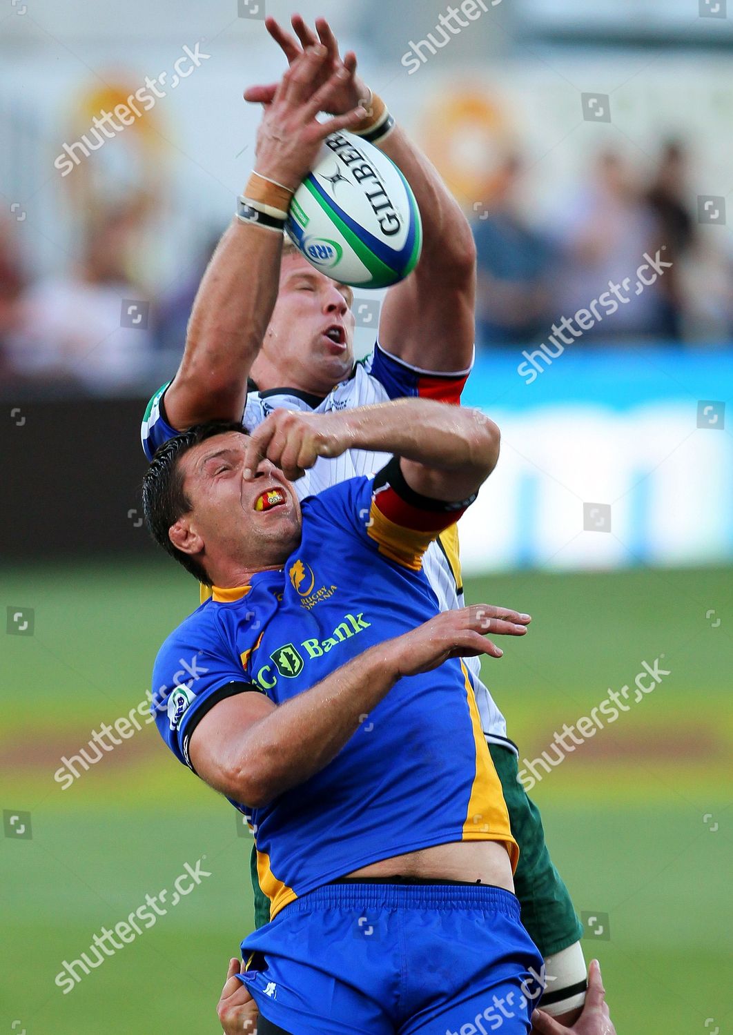 South African Kings David Watson Fights Editorial Stock Photo Stock