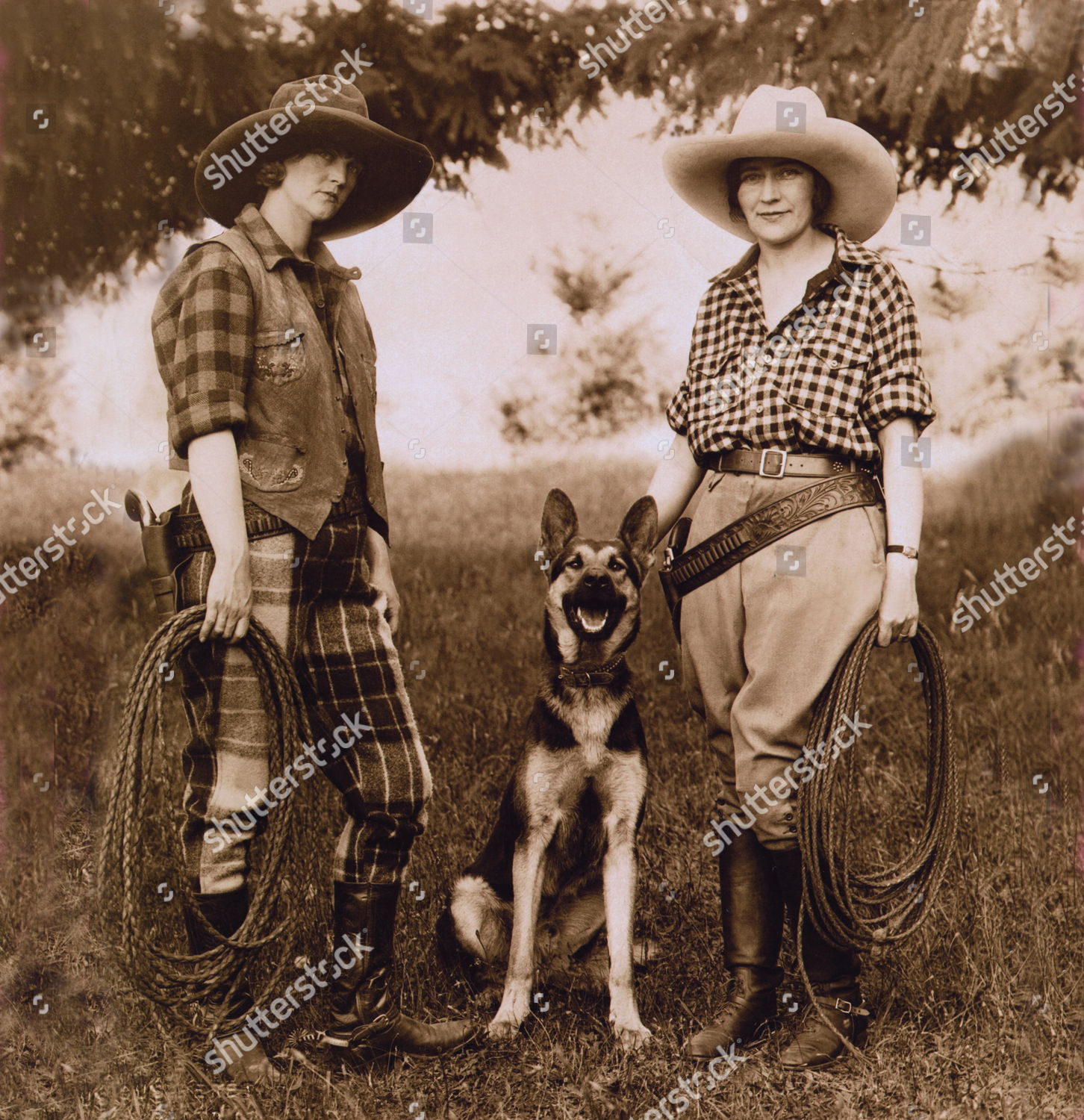 Cowgirls Dog C1920 These Colourful Wyoming Editorial Stock Photo ...