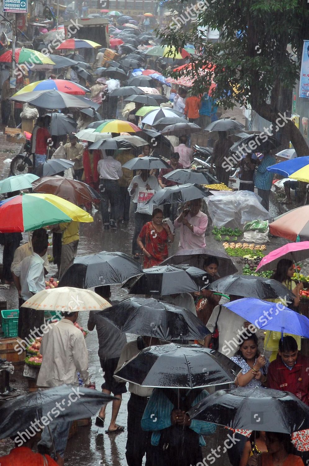 rain umbrella india