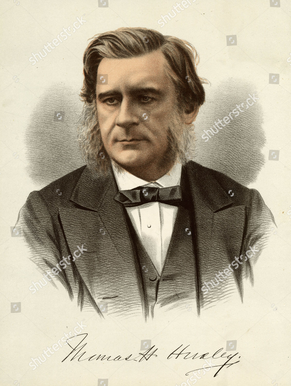 Thomas Henry Huxley Scientist 18251895 Editorial Stock Photo Stock