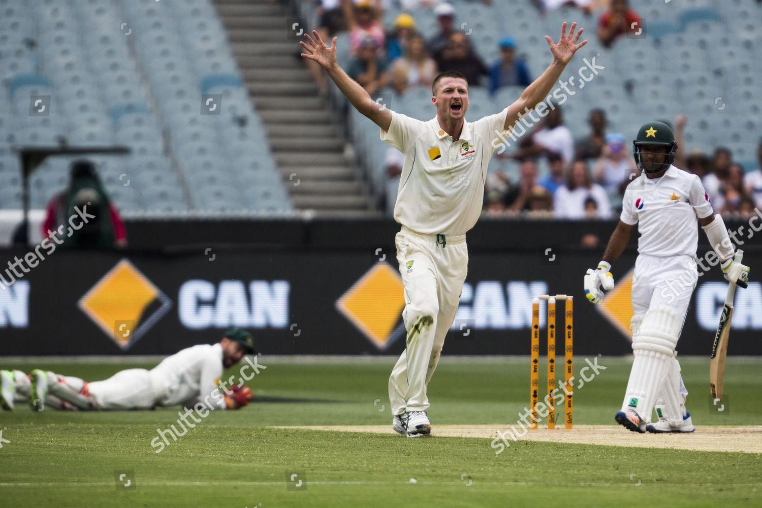 Jackson Bird Bowling Asad Shafiq Appeals Lbw Editorial Stock Photo Stock Image Shutterstock