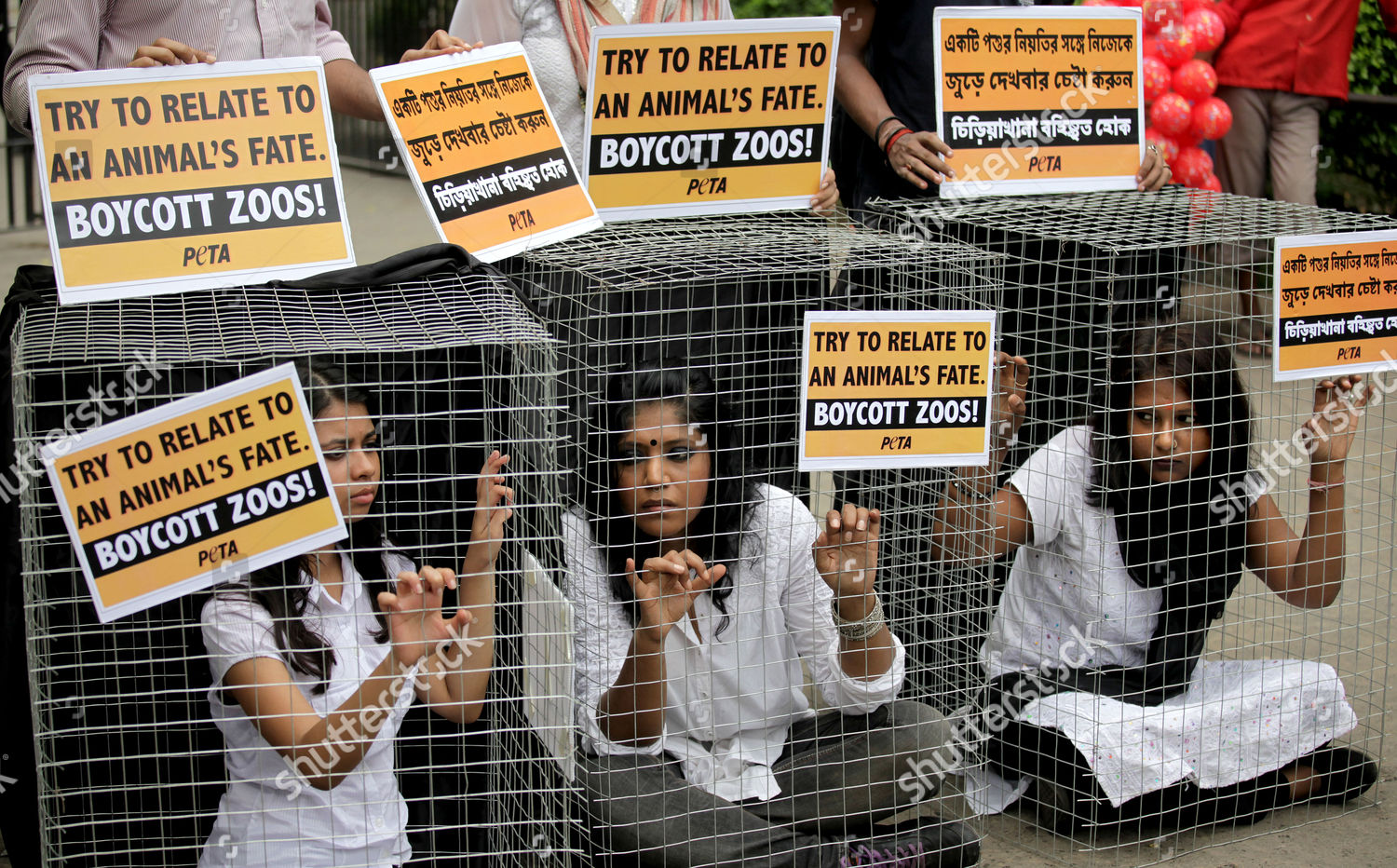 Activists People Ethical Treatment Animals Peta Editorial Stock Photo ...