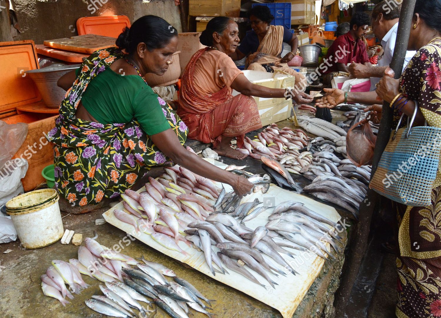 Indian Women Sell Fish Fish Market Chennai Editorial Stock Photo