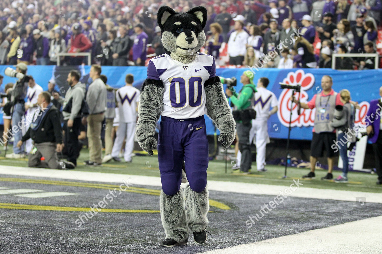 Washingtons Mascot Harry Prior Chickfila Peach Editorial Stock Photo ...