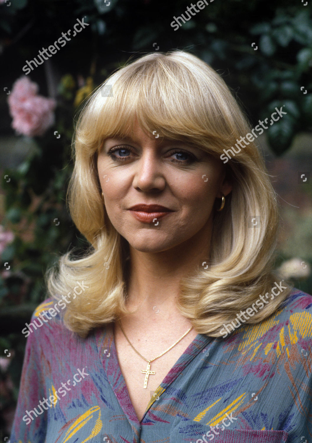 Bloomfield Tv 1983 Carol Hawkins Trish Editorial Stock Photo Stock