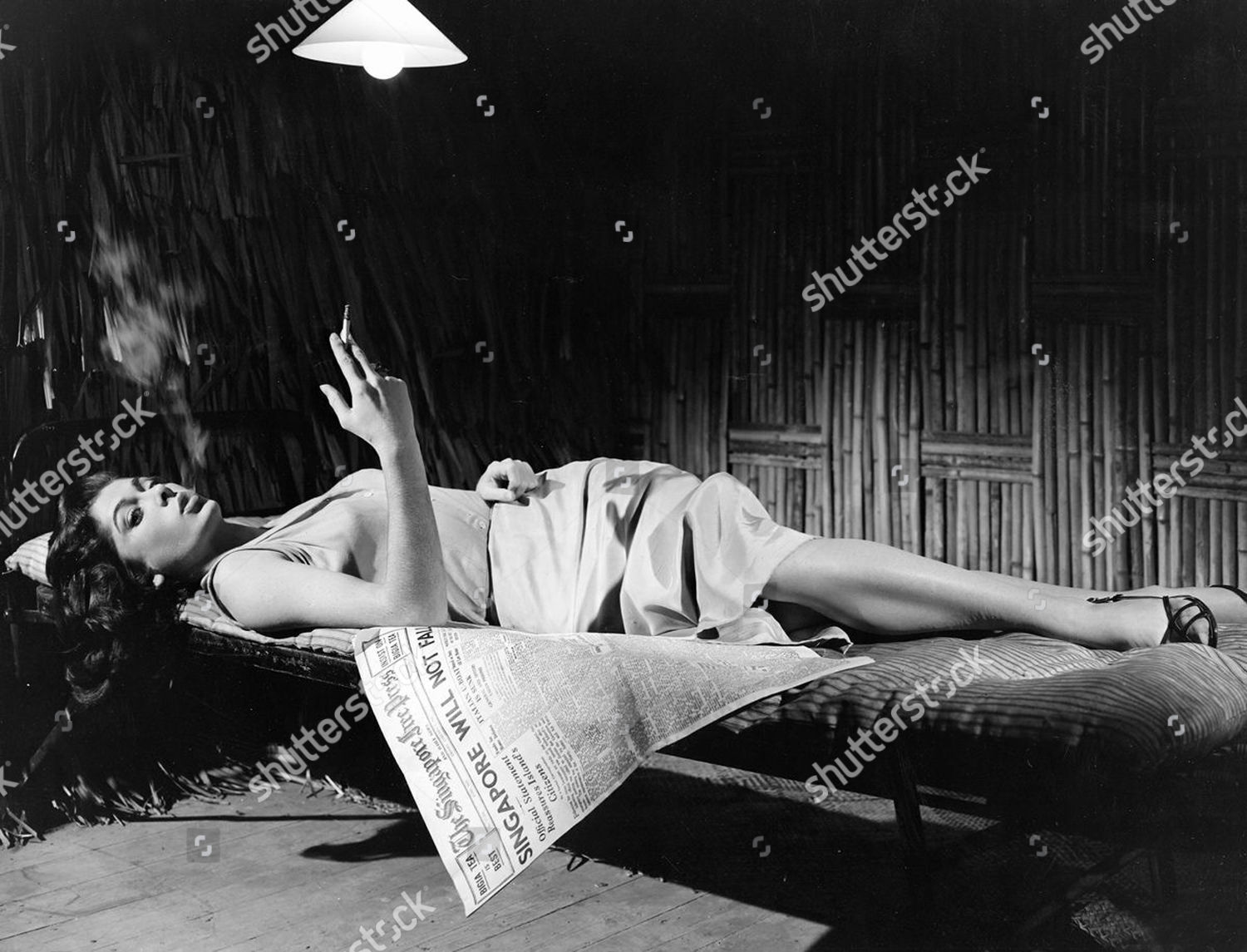 Kelly Harmon Kelly Harmon new images Kelly Harmon Kelly Harmon new pictures