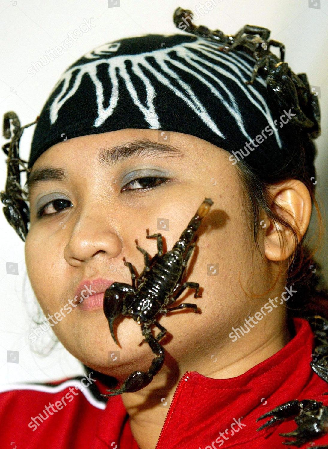 Scorpions Crawl On Face Malaysian Scorpion Editorial Stock Photo