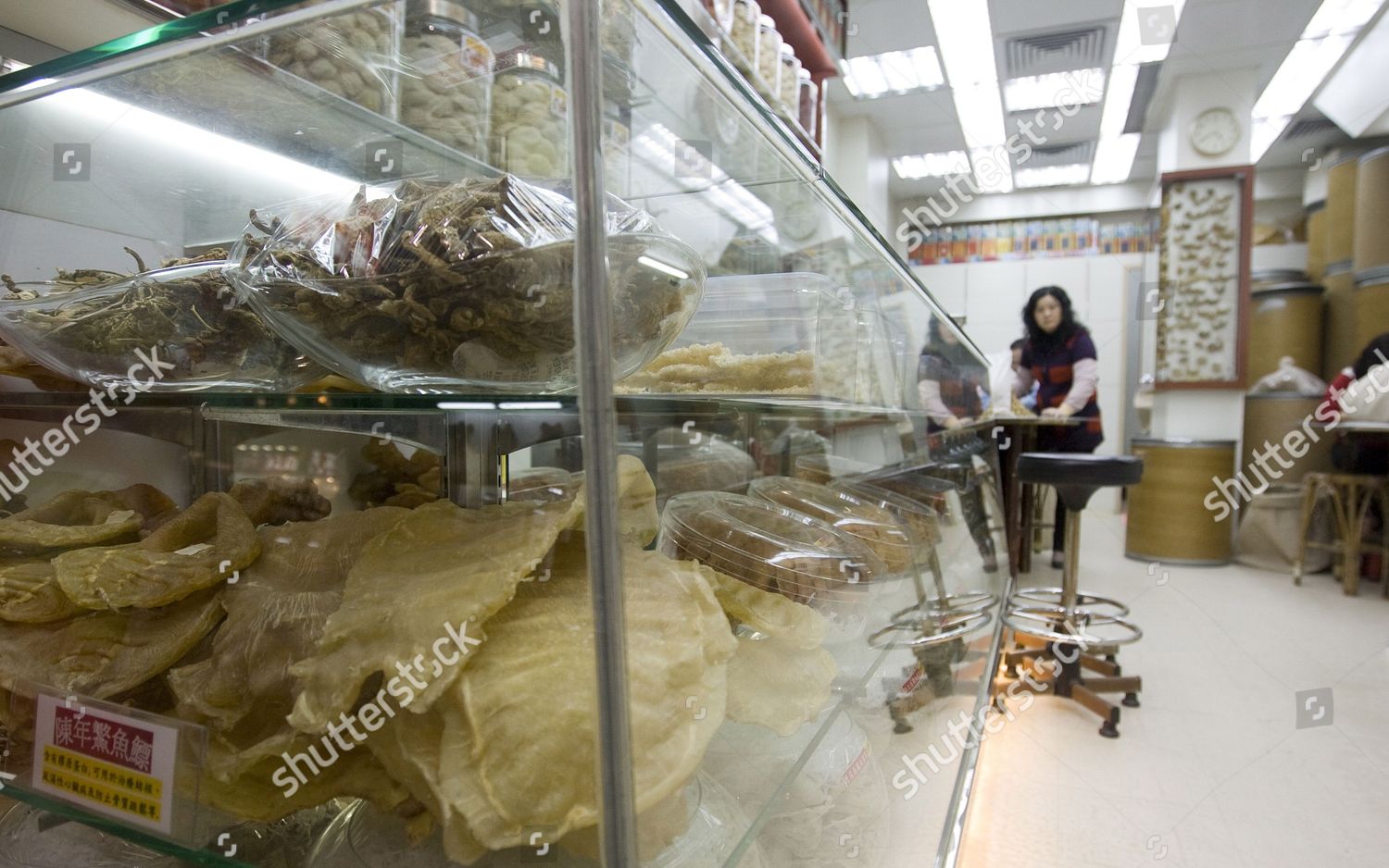 Croaker Fish Swim Bladders Seen Sale Editorial Stock Photo Stock