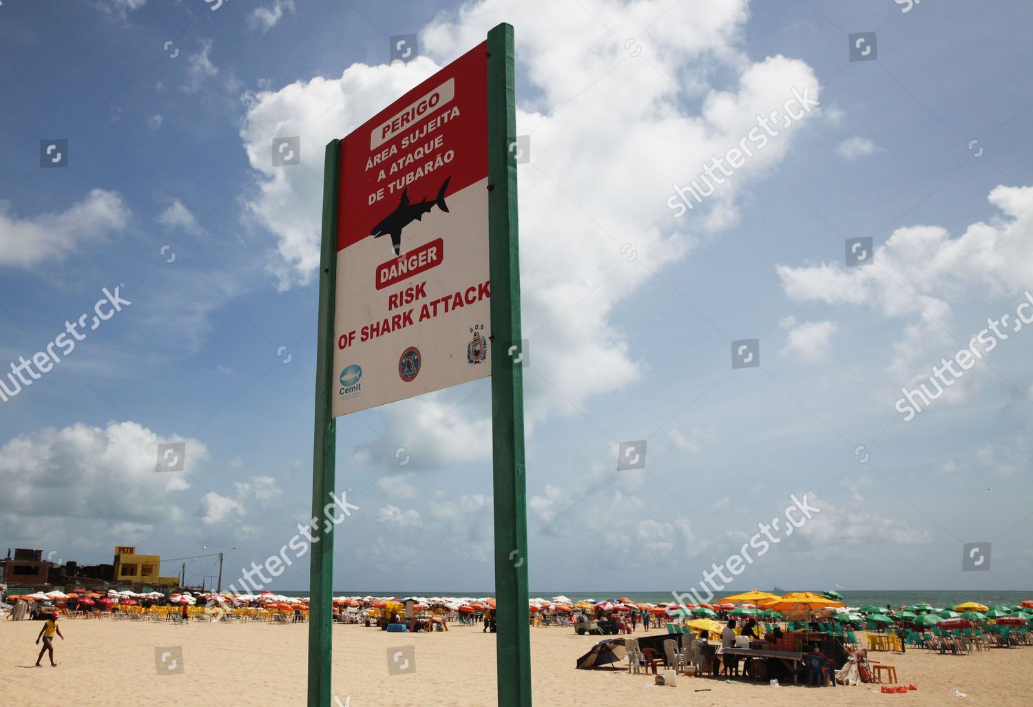 Sign Warning Shark Attacks Beach Recife Editorial Stock Photo - Stock ...