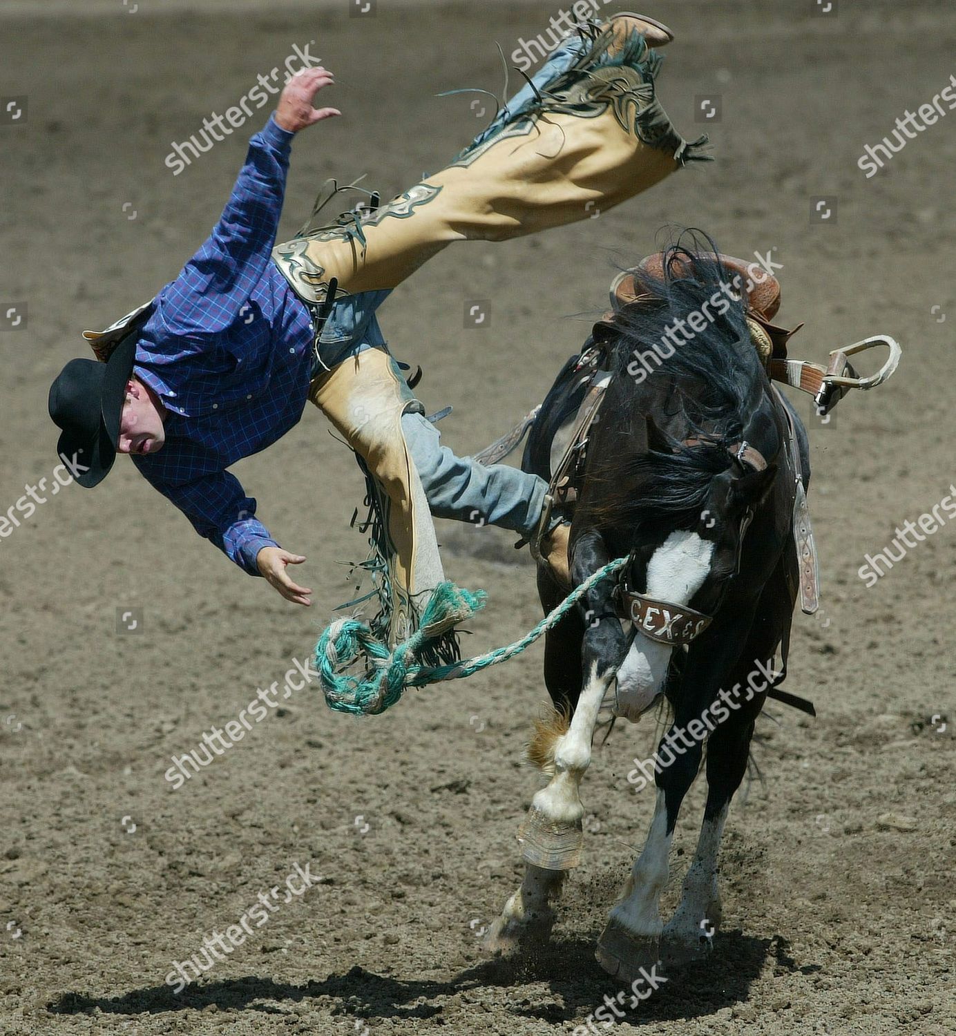 Cowboy Josh Net Worth 90 - d26aq1s