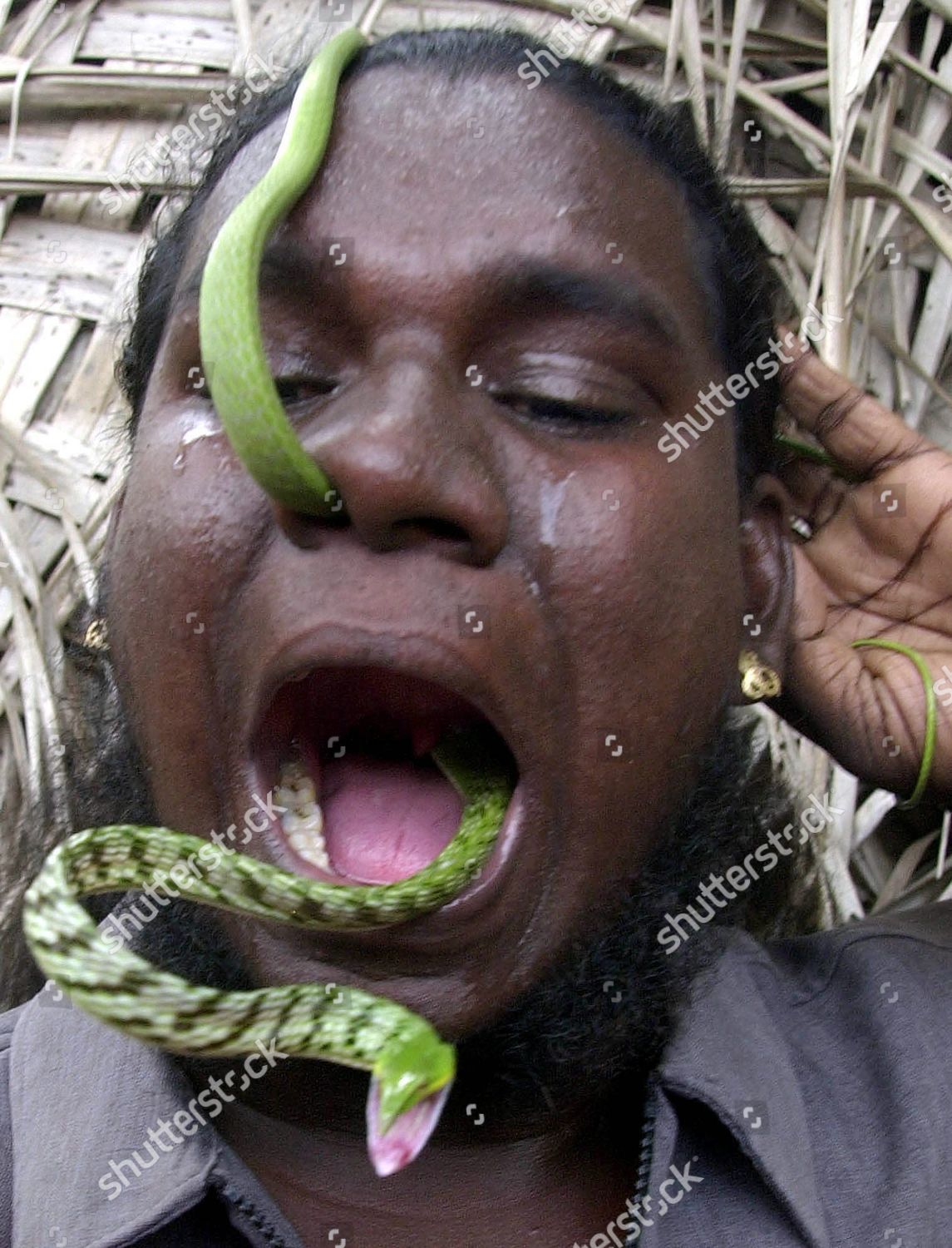 Guinness Record Holder C Manoharan Snake Editorial Stock Photo Stock