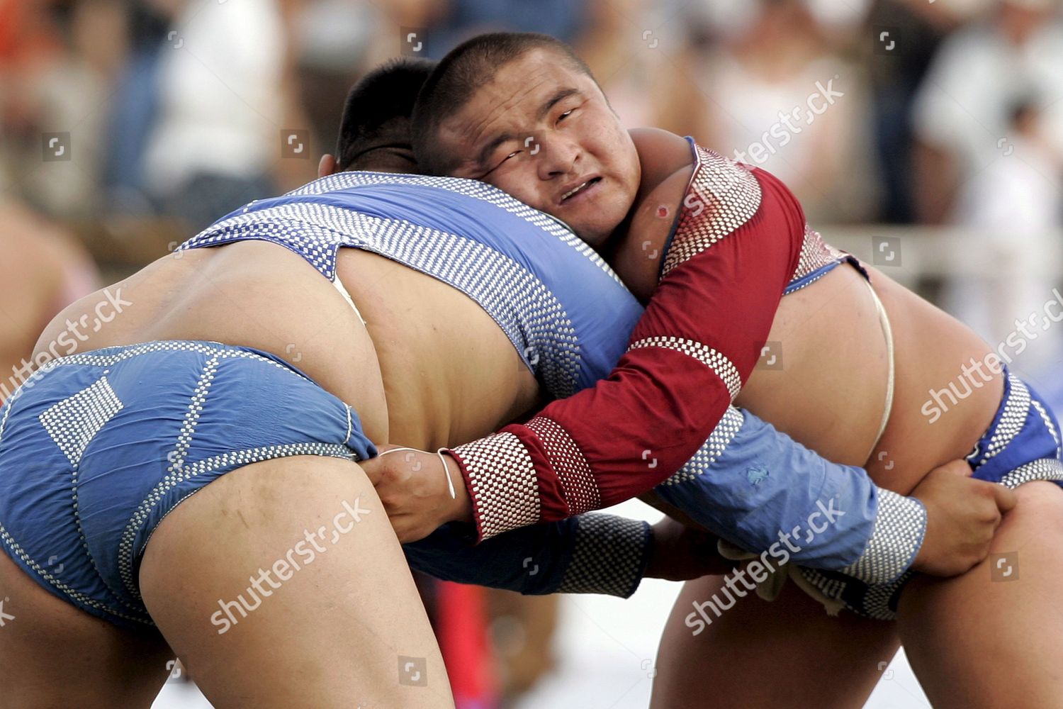 Mongolian Wrestlers Traditional Attire Grapple During Editorial Stock