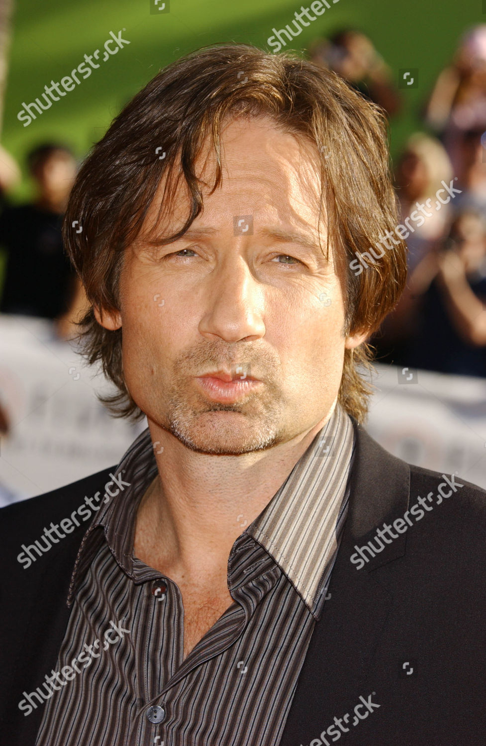 David Duchovny Editorial Stock Photo - Stock Image | Shutterstock