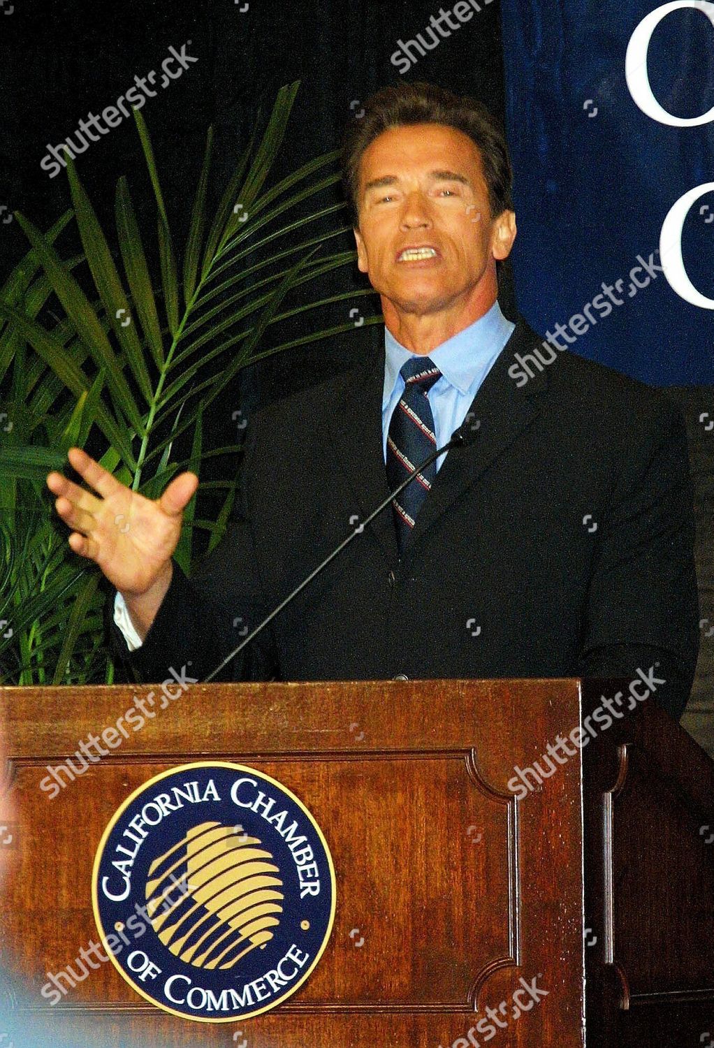 California Gubernatorial Candidate Arnold Schwarzenegger Talks