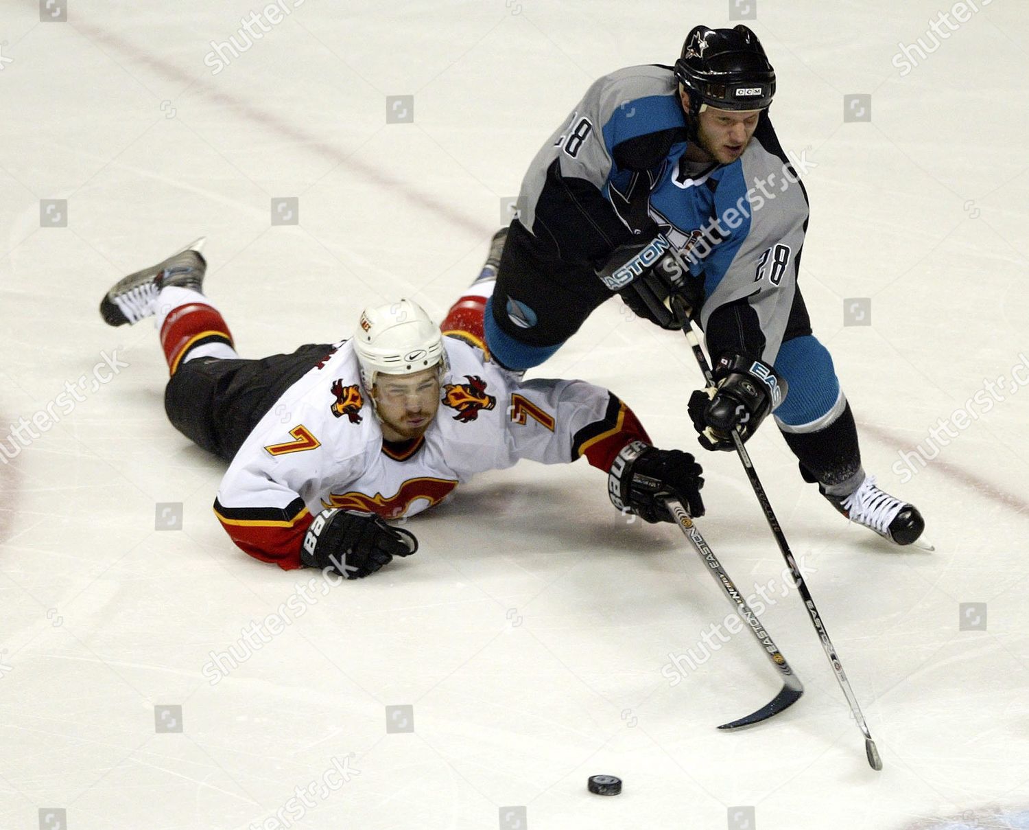 Calgary Flames Chuck Kobasew L San Editorial Stock Photo - Stock Image