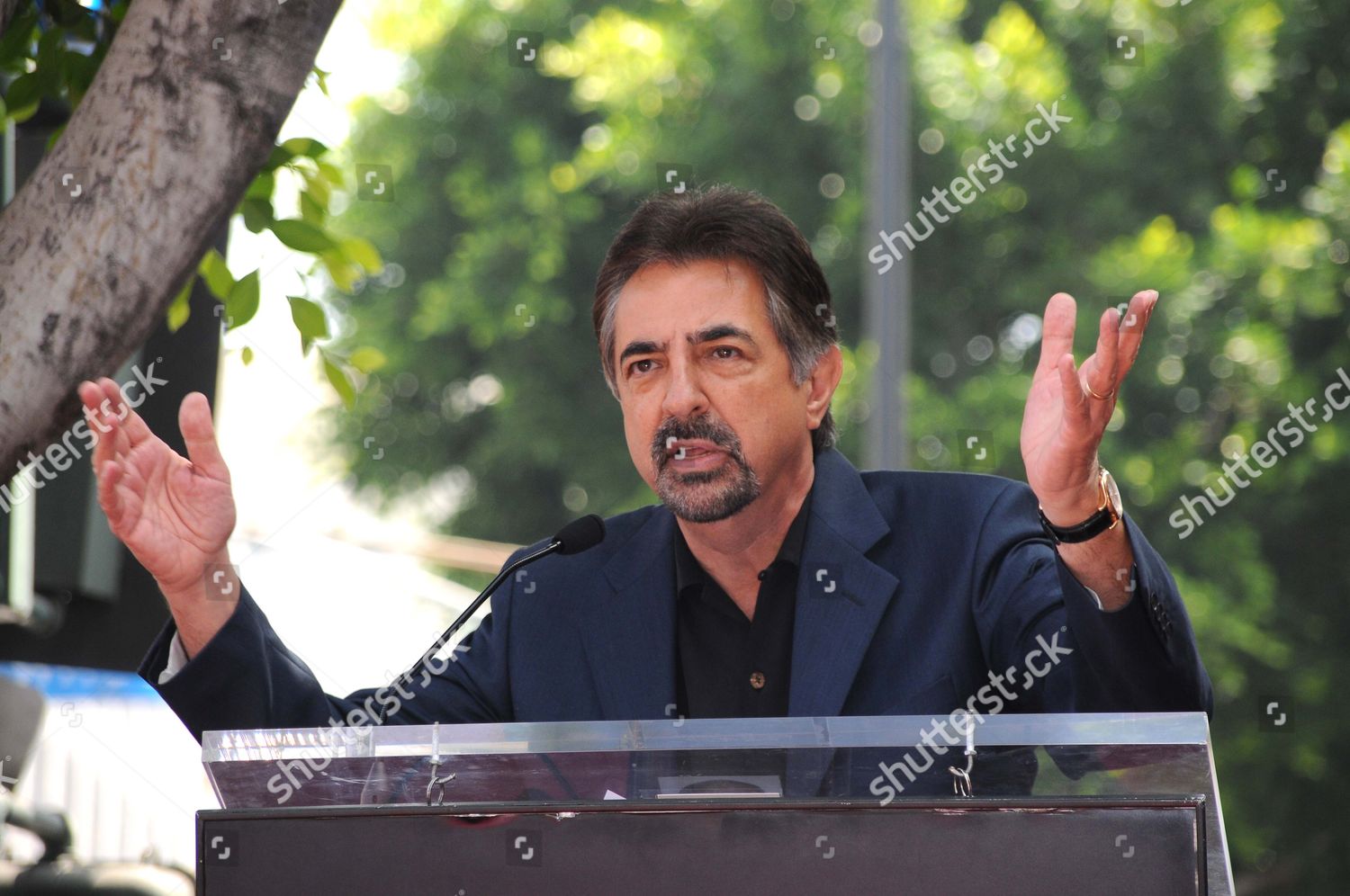 Joe Mantegna Editorial Stock Photo - Stock Image | Shutterstock