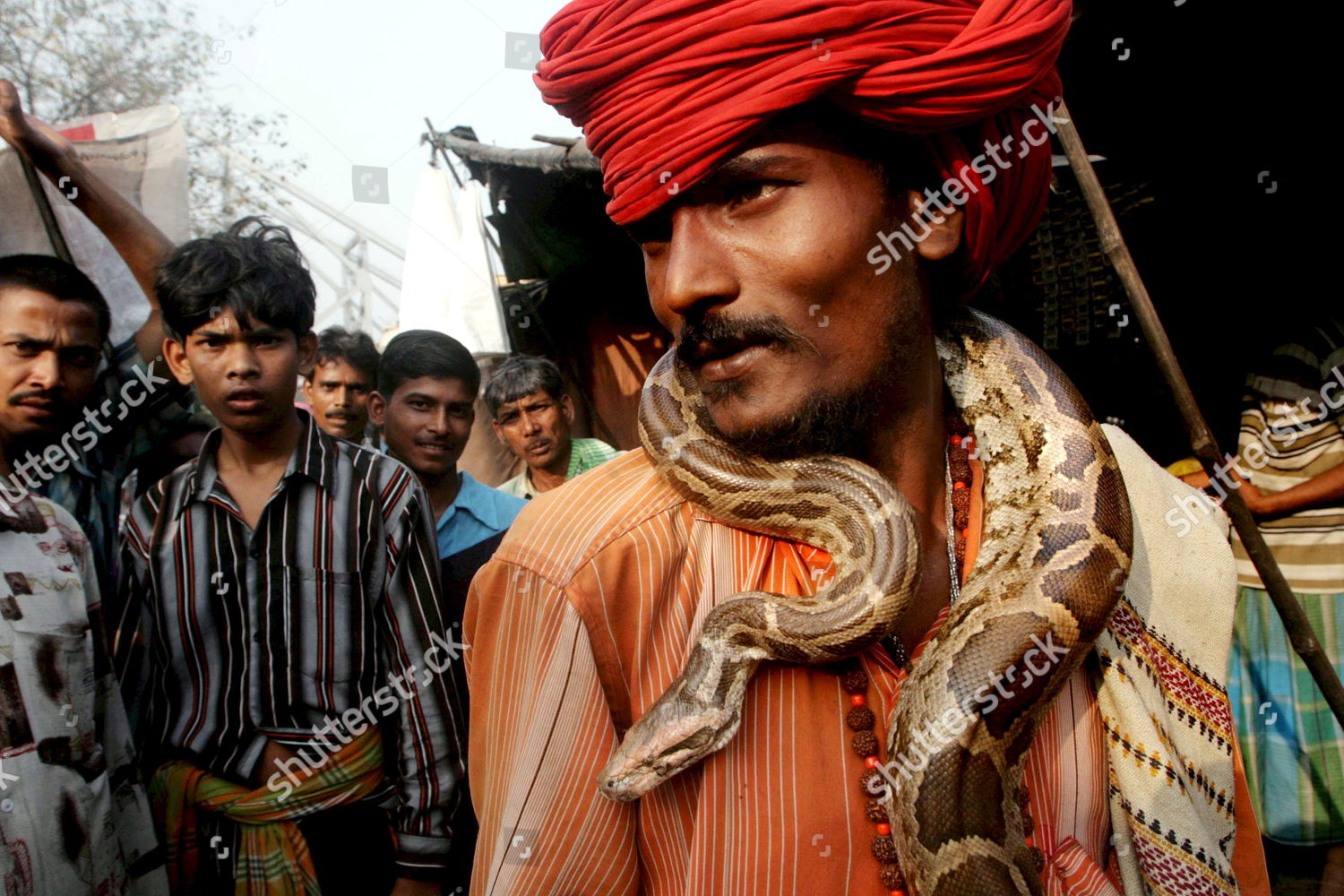 Indian Snake Charmer Shows Baby Python Editorial Stock Photo - Stock ...