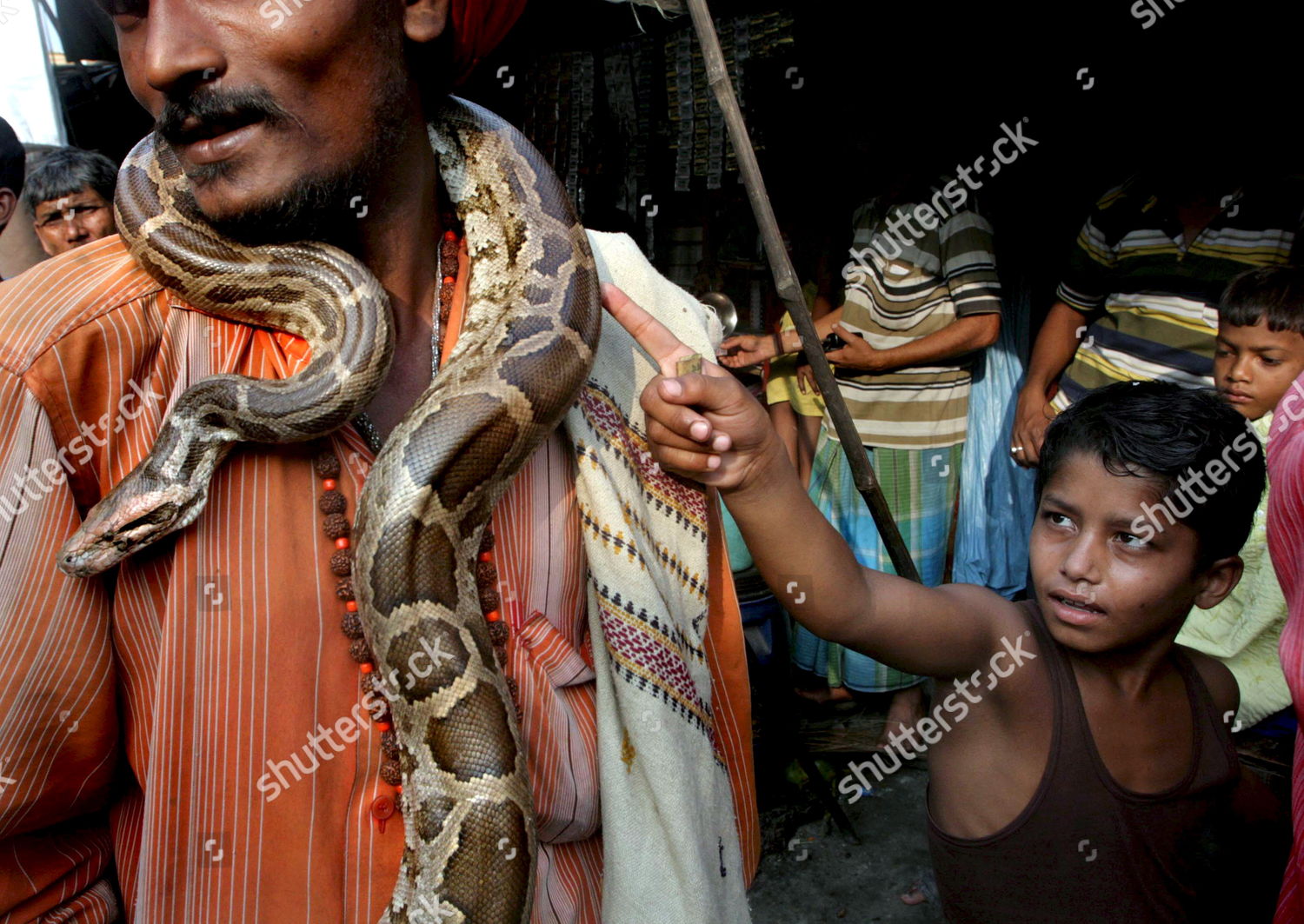 Indian Snake Charmer Shows Baby Python Editorial Stock Photo - Stock ...