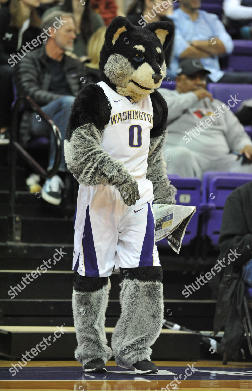 Uw Mascot Harry Husky During Game Editorial Stock Photo - Stock Image ...