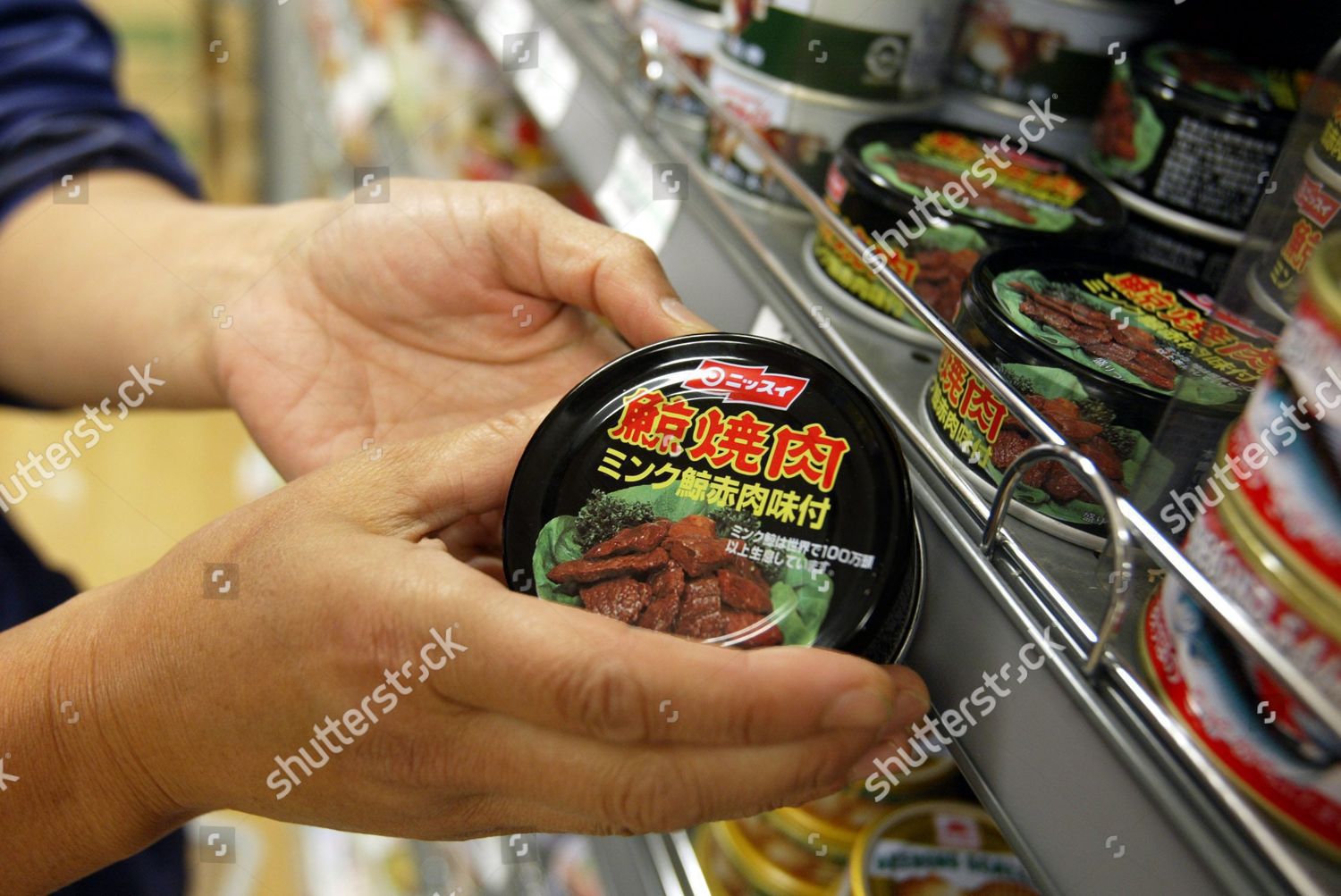 Canned Minke Whale Meat Sale Japanese Editorial Stock Photo Stock