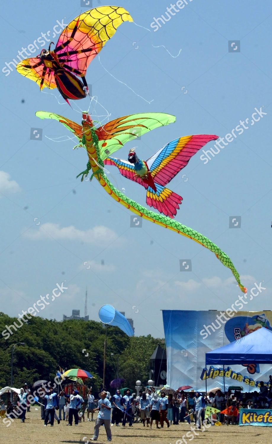 Colorful Custommade Kites Fly Above Spectators Editorial Stock Photo Stock Image Shutterstock