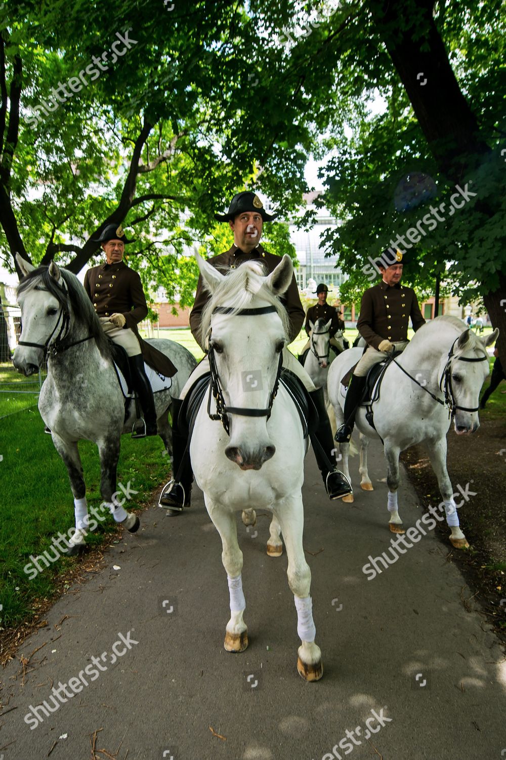 Riders Spanish Riding School On Horseback Editorial Stock Photo Stock