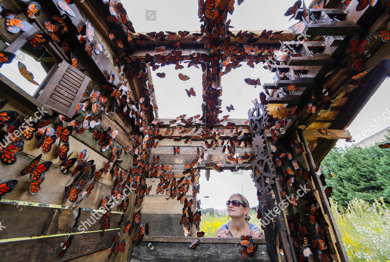 Jenny Odom Looks Dorothy Oconnor Craig Editorial Stock Photo Stock