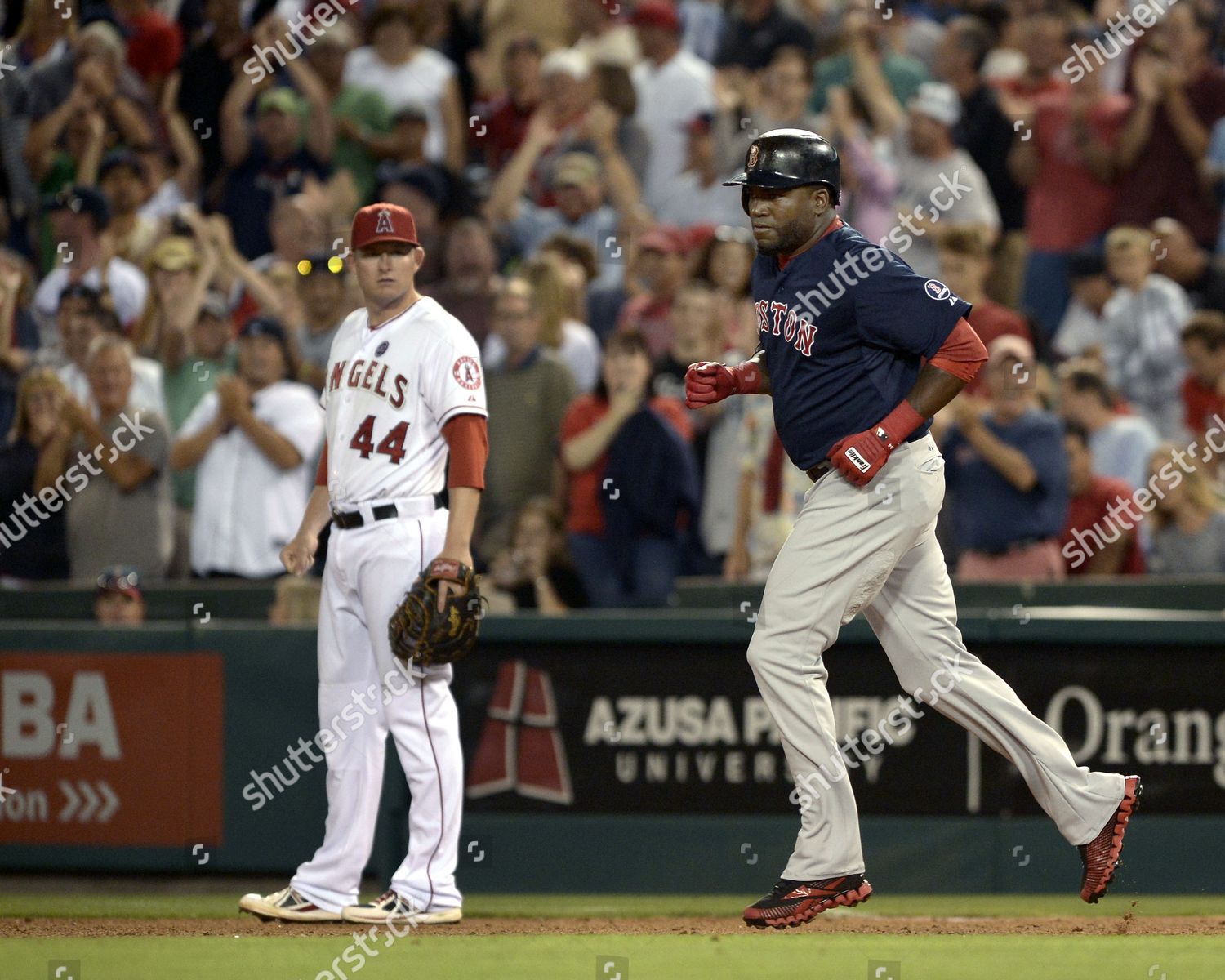 Boston Red Sox Pinch Hitter David Editorial Stock Photo - Stock Image ...