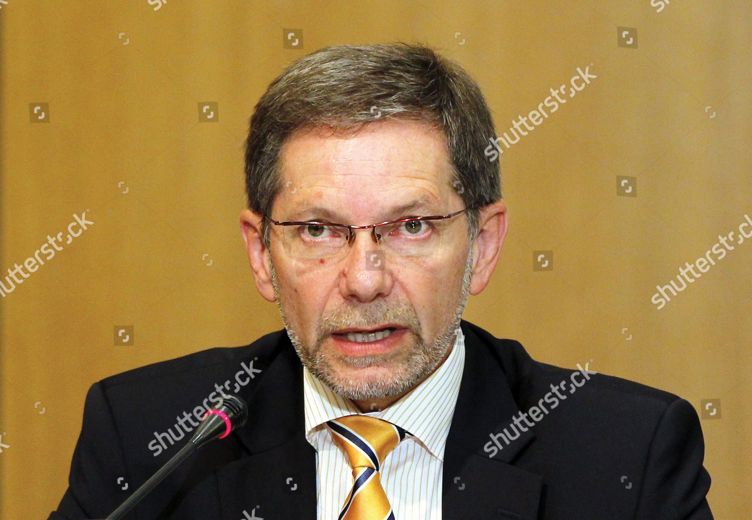 Reinhard Mitschek Chairman Nabucco Gas Pipeline Editorial Stock Photo ...