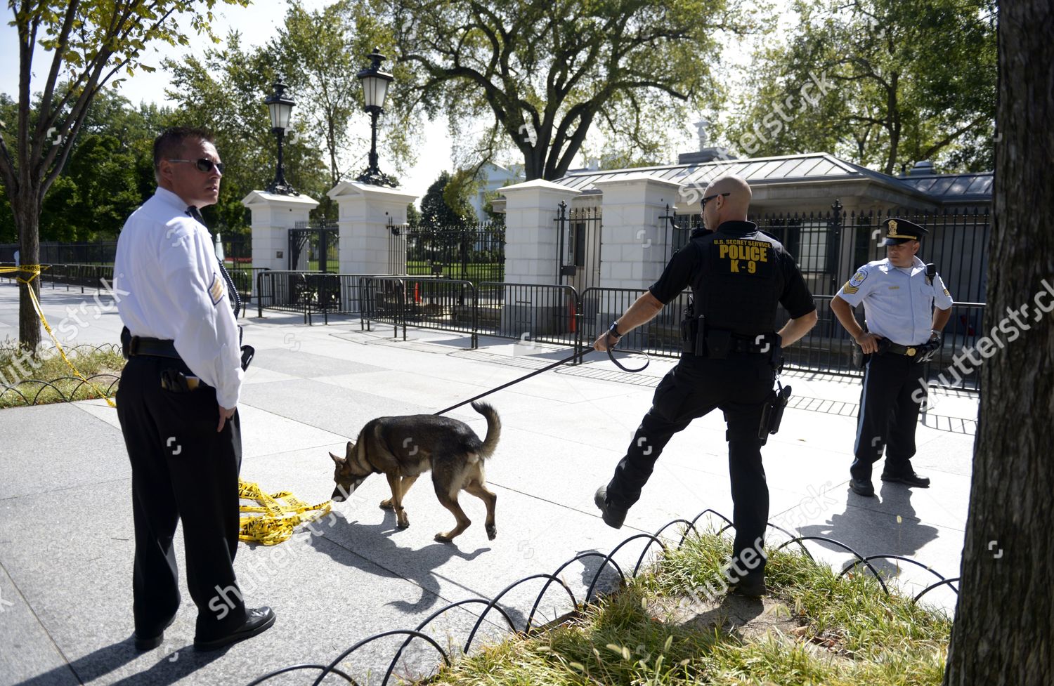 Us Secret Service K9 Officer Sweeps Editorial Stock Photo - Stock Image 