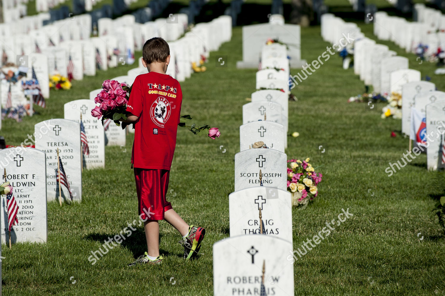 On Memorial Day Volunteer Carries Roses Editorial Stock Photo Stock