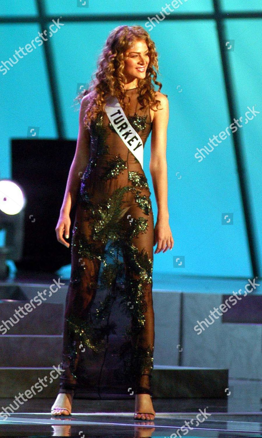 miss universe 2003 evening gown