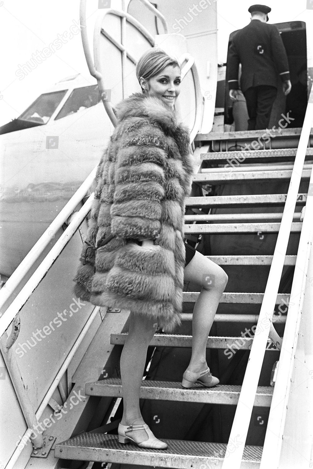 Actress Sharon Tate, 25, as she arrived at Heathrow Airport, London