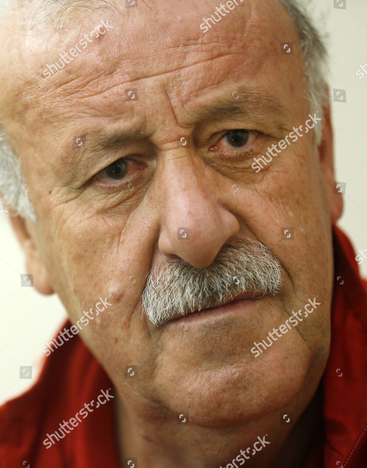 Spanish National Soccer Team Coach Vicente Editorial Stock Photo