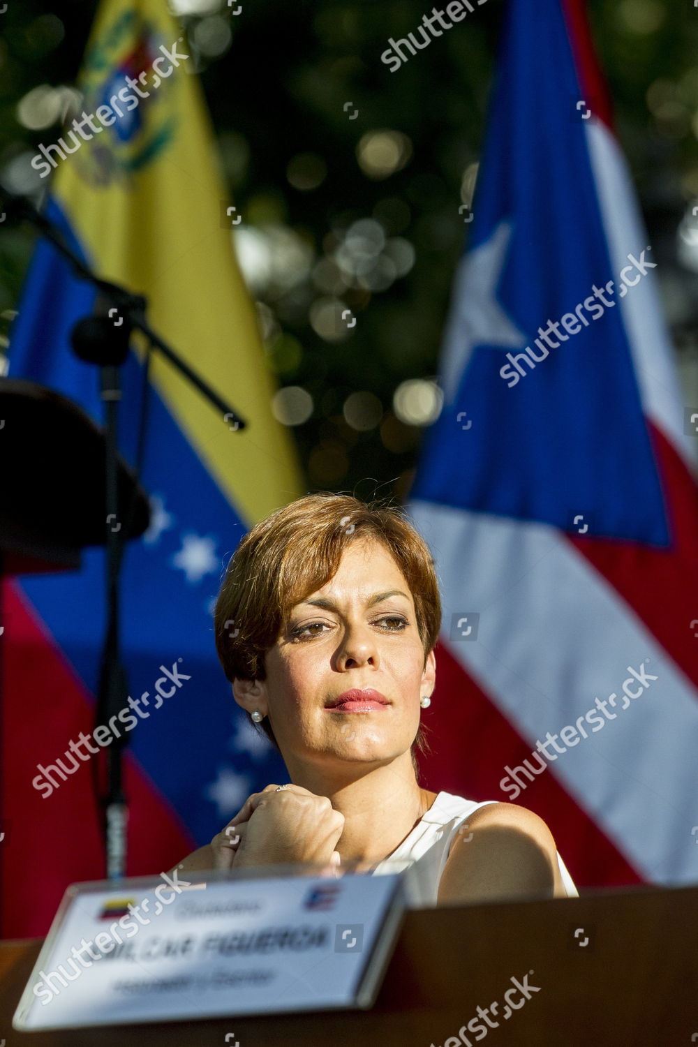 Puerto Rican Senator Independence Party Maria Editorial Stock Photo ...