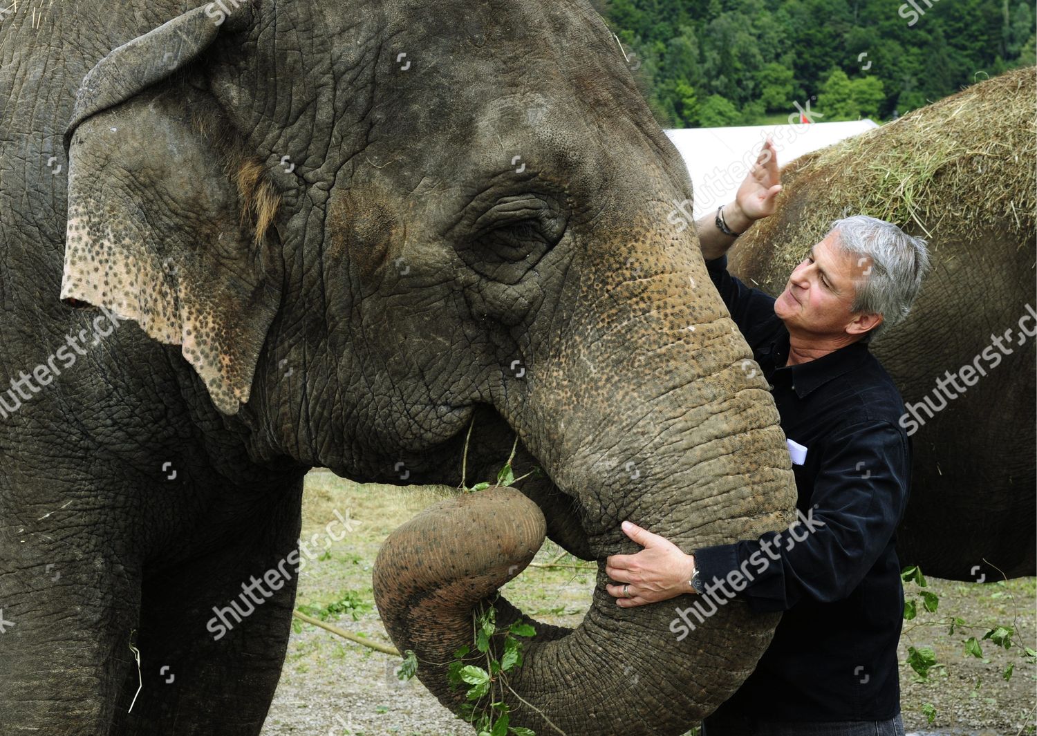 Circus Director Franco Knie Poses Female Editorial Stock Photo Stock circus-director-franco-knie-poses-female-editorial-stock-photo-stock
