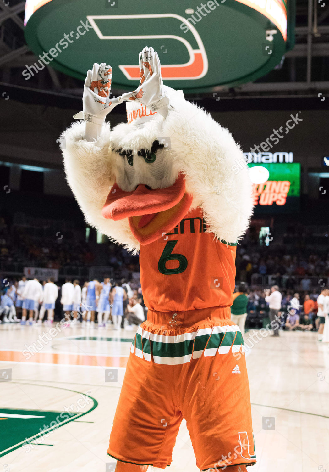 University Of Miami Mascot - Cars