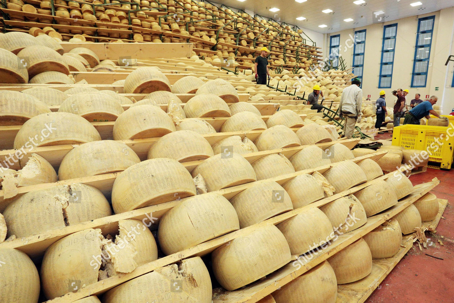 Parmesan Cheese Parmigianoreggiano Damaged By Earthquake Editorial