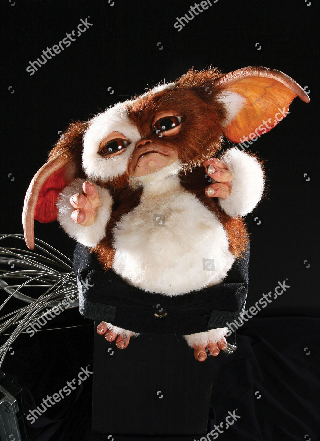 Gizmo Animatronic Puppet Which Starred Gremlins 2 Editorial Stock Photo Stock Image Shutterstock