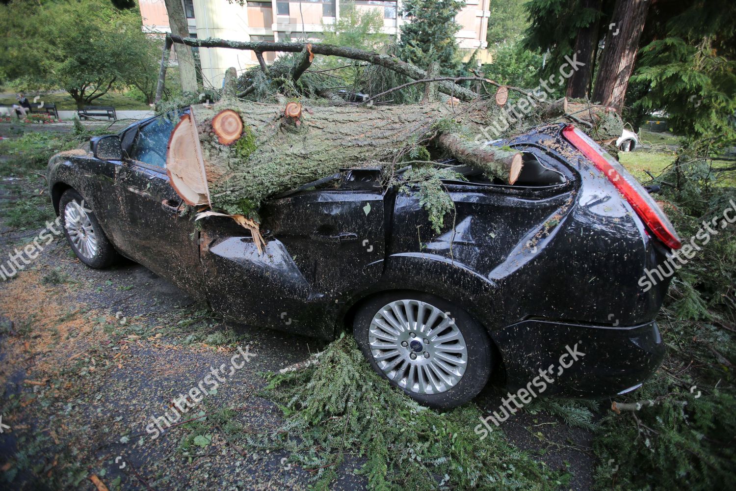 Mangled Remains Vehicle Bad Schwalbach Hessen Editorial Stock Photo ...