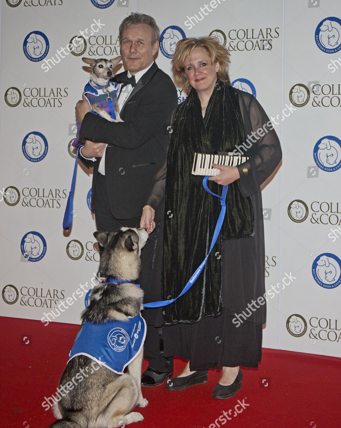 Battersea Dogs Home Collars Coats Gala Ball Editorial Stock Photo Stock Image Shutterstock