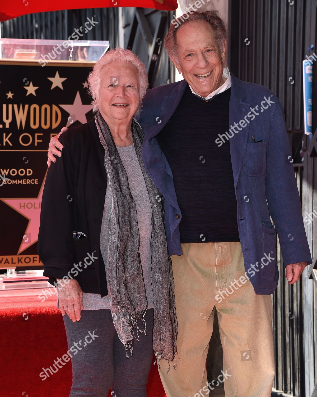 George Segal Wife Sonia Schultz Greenbaum Editorial Stock Photo - Stock