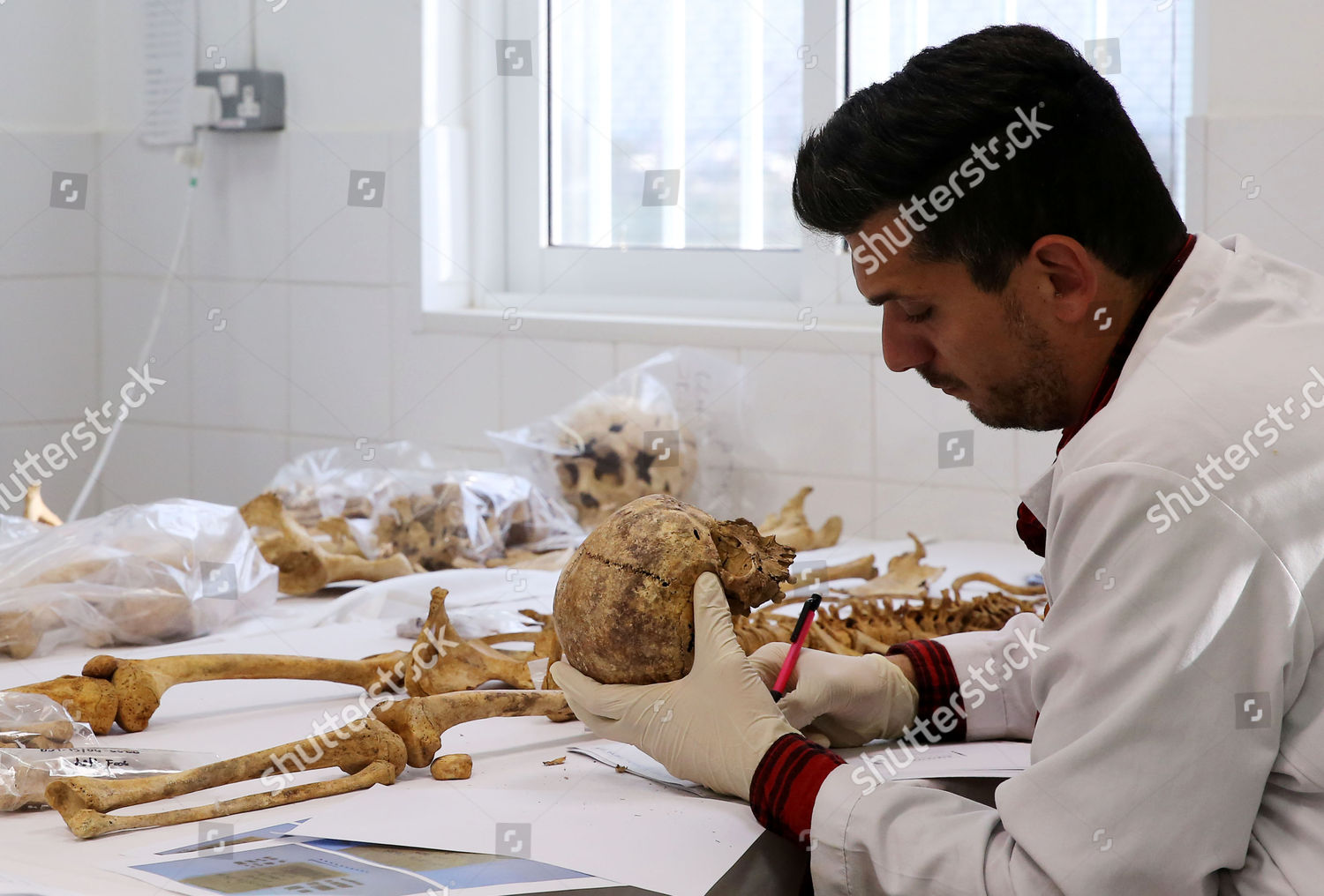 Forensic Scientist Examines Human Remains Forensics Editorial Stock