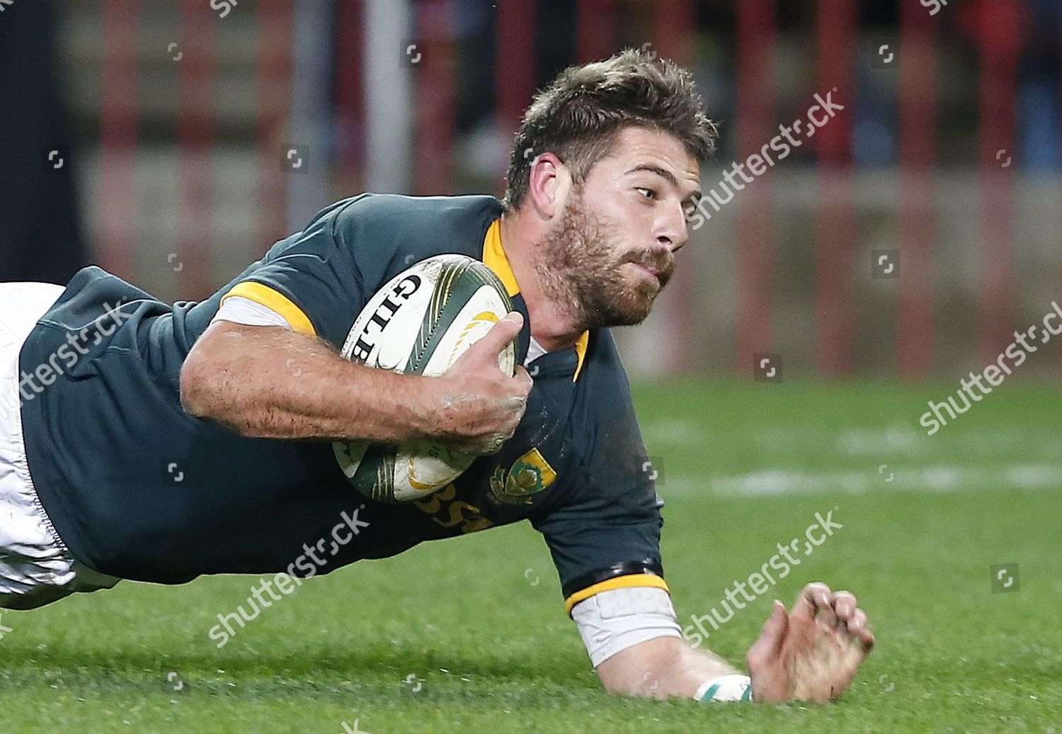 Willie Le Roux Springboks Dives Over Editorial Stock Photo - Stock ...
