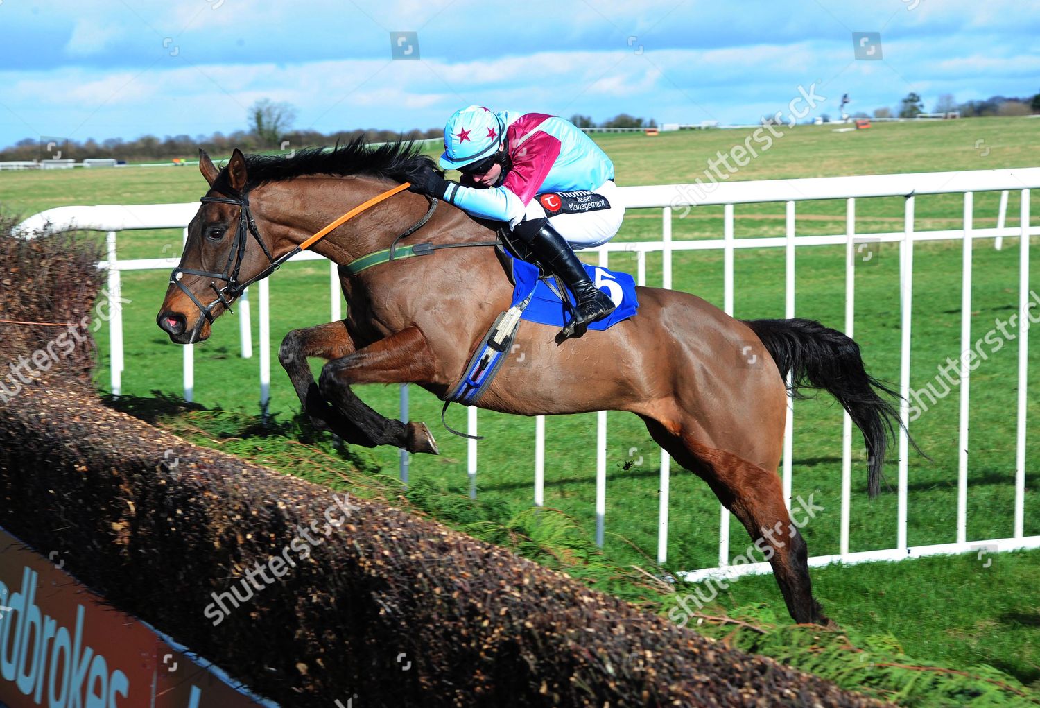 Thurles Westerner Point Brian Oconnell Jump Last Editorial Stock Photo Stock Image Shutterstock